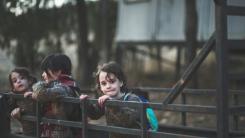 Părintele Necula: „Le-am umplut burta copiilor, dar li s-au înfundat urechile!” Adevărul tulburător despre abandonul școlar și opulență