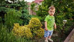 Studiu: 75% dintre copii preferă activitățile creative în locul ecranelor