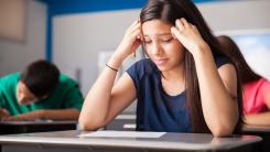 MEC: O nouă sesiune de simulare a Evaluării Naţionale săptămâna viitoare