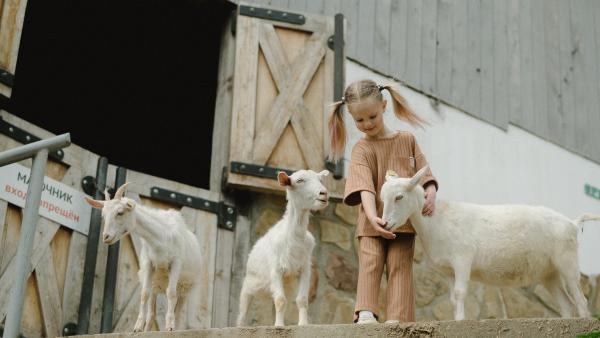 Zoofobia: Cum să îi ajuți pe copii să nu se teamă de animale
