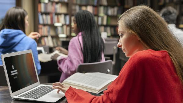 80% dintre elevii români vor să învețe la o facultate din străinătate: Opțiunile preferate sunt Olanda, Danemarca şi Irlanda. Ce domenii îi atrag?
