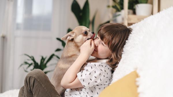 5 recomandări importante pentru copiii cu alergii la animale: „Este esențial să luați măsuri!”