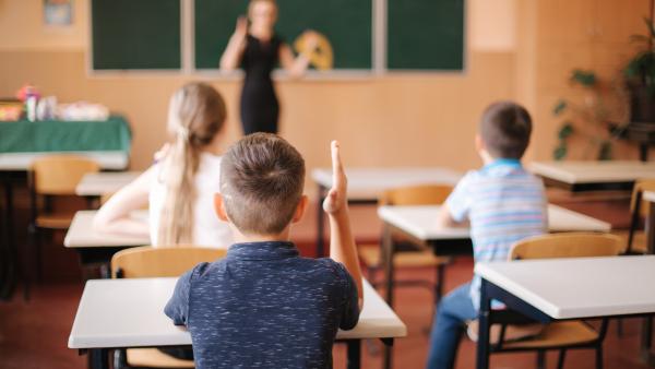 Peste 14.000 de posturi din educație au dispărut în 2025