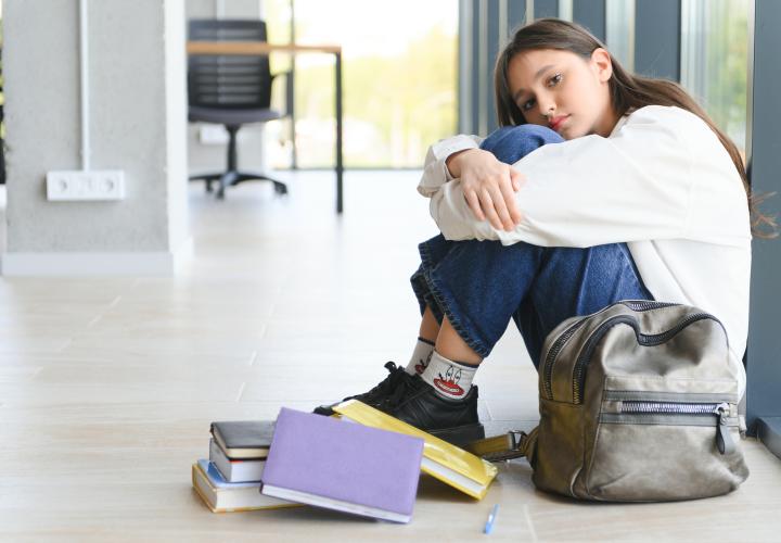 Consilierea școlară, soluția în prevenirea abandonului școlar. Leca: Un elev în risc are nevoie de direcție, structură și continuitate