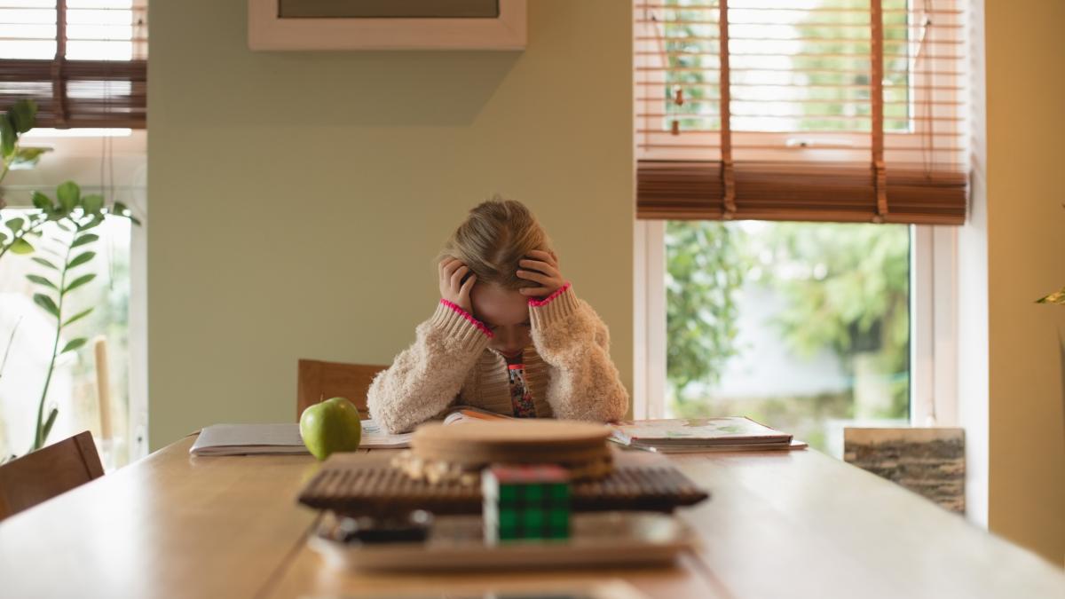 nu-am-avut-suficienta-mancare--biletelul-sfasietor-despre-criza-costului-vietii-al-unei-fetite-dupa-ce-a-vazut-o-pe-mama-ei-sarind-peste-mese_85966000