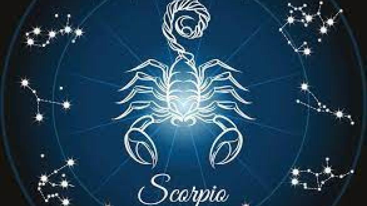 scorpion_79001300