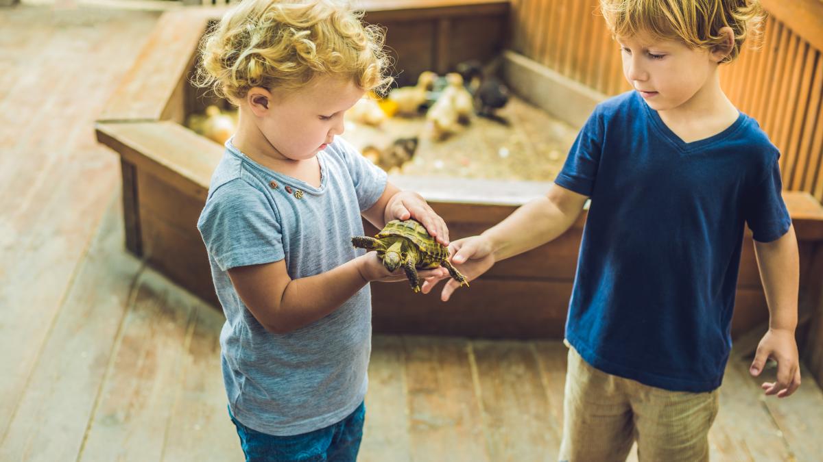 copiii-hoti--ce-sa-faci-daca-descoperi-ca-micutul-tau-ia-lucruri-care-nu-i-apartin_13603600