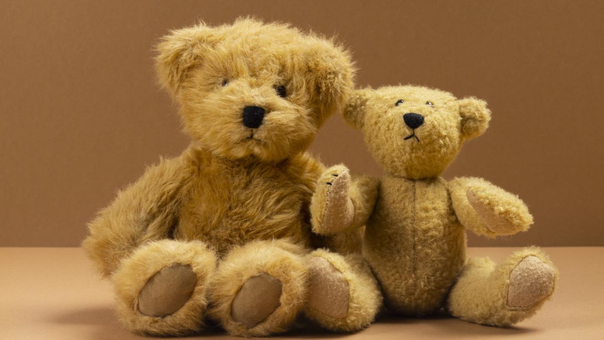 doi-ursuleti-de-plus--cumparati-de-la-un-targ--i-au-imbogatit-pe-o-mama-si-fiul-ei-unul-dintre-ei-s-a-dovedit-a-fi-o-adevarata-comoara_07350800