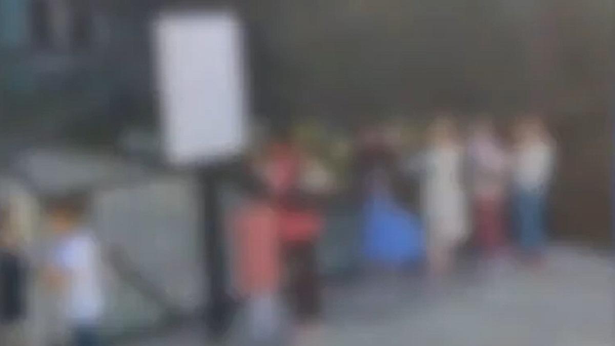 mai-multi-parinti-romani-si-au-pus-copiii-sa-protesteze-in-fata-gradinitei-micutii--indemnati-sa-traga-de-gard--in-timp-ce-adultii-filmeaza-scena_13105900