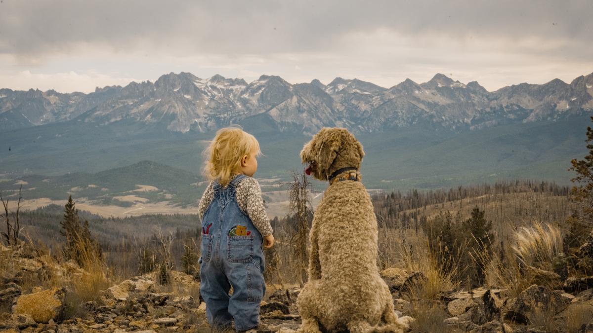 cainele-i-a-alertat-peparinti-asupra-agreiunii-copilului-lor_69643100