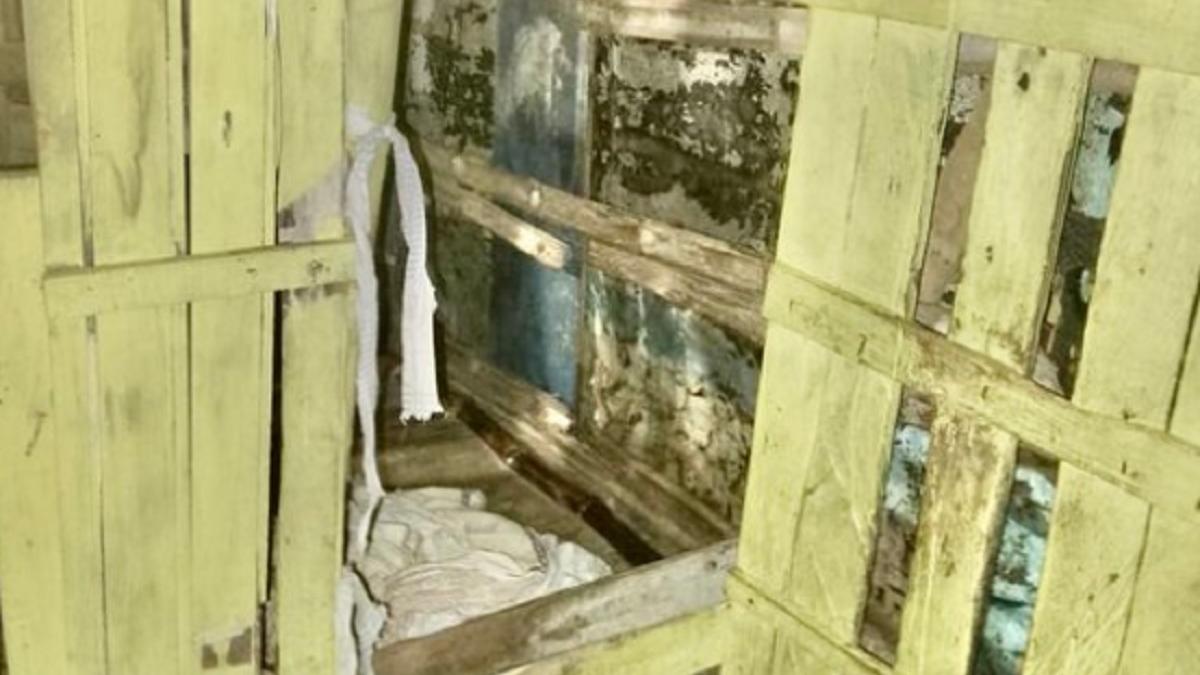 baietel--tinut-captiv-si-infometat-de-mama-si-matusi-timp-de-7-ani-a-trait-in-teroare-in-mainile-celor-care-ar-fi-trebuit-sa-l-protejeze-si-sa-l-iubeasca_30202100