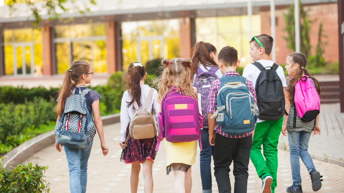 tichete-educationale-de-500-de-lei-pentru-elevii-romani-cererile-parintilor-se-depun-pana-pe-5-octombrie--conditii_46310200