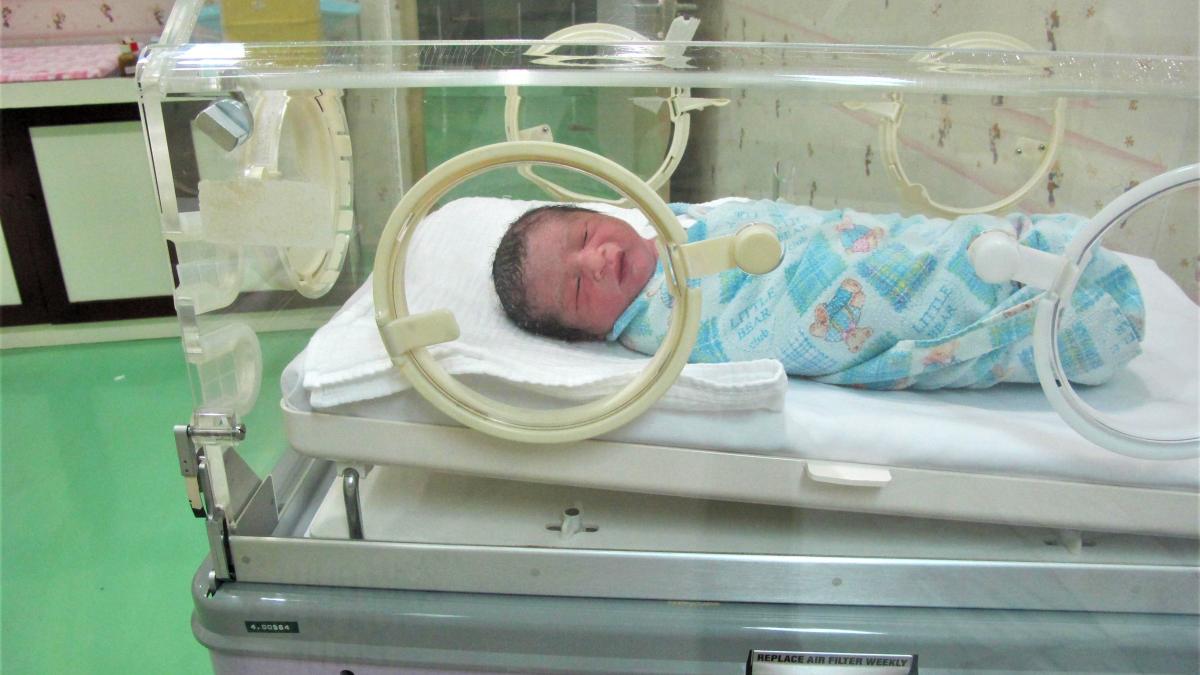 greuatte-nou-nascut_57023900