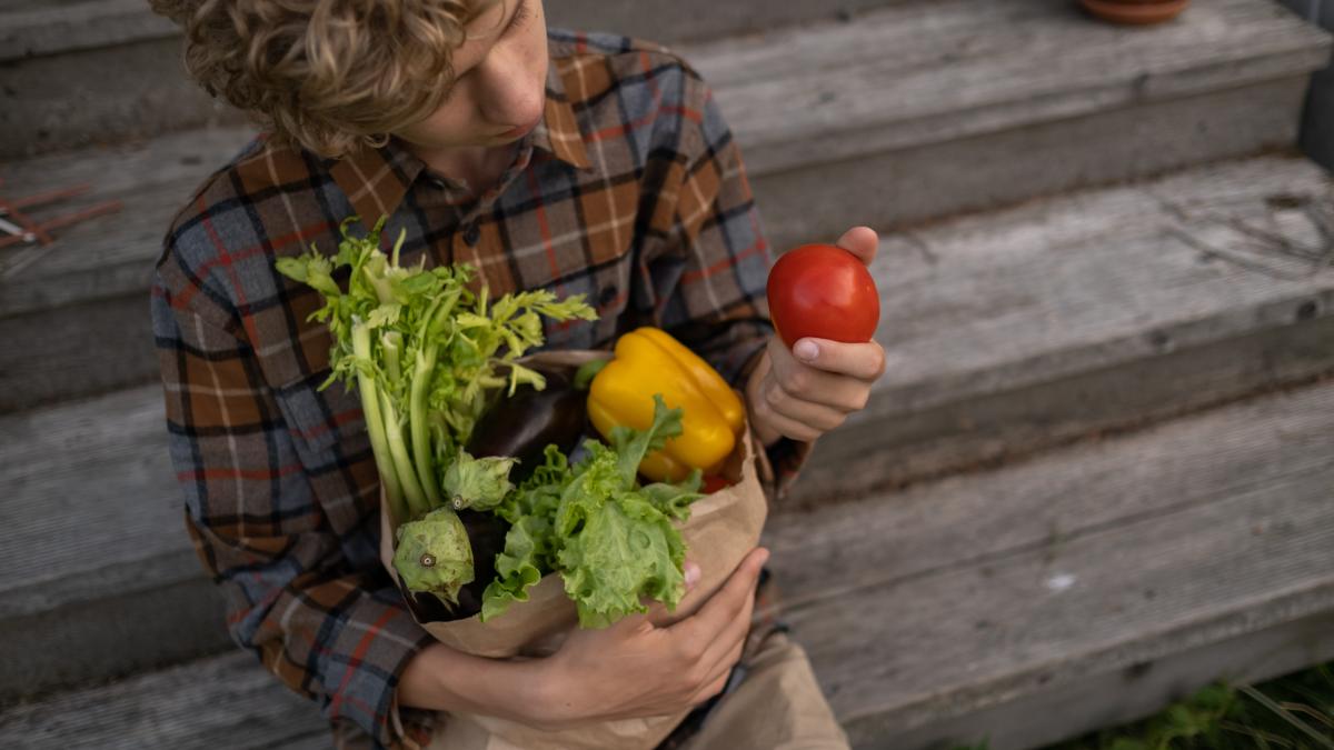 alimentatia-in-adolescenta_02118200