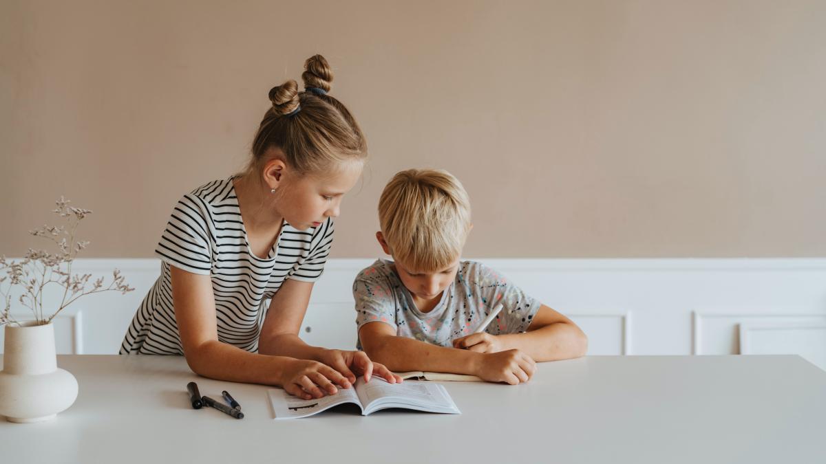 copii-teme-penrru-acasa--cum-sa-le-faca-singuri_23947000