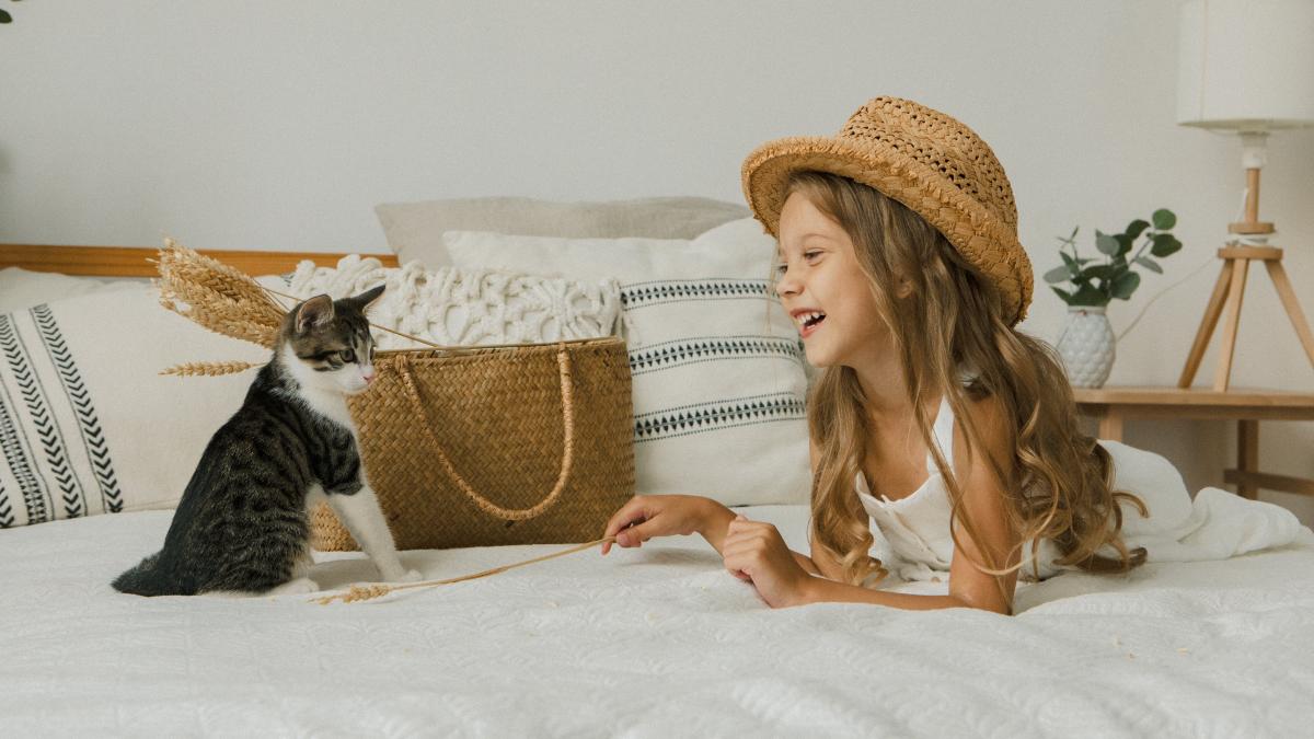 dormitul-cu--pisica_58173100