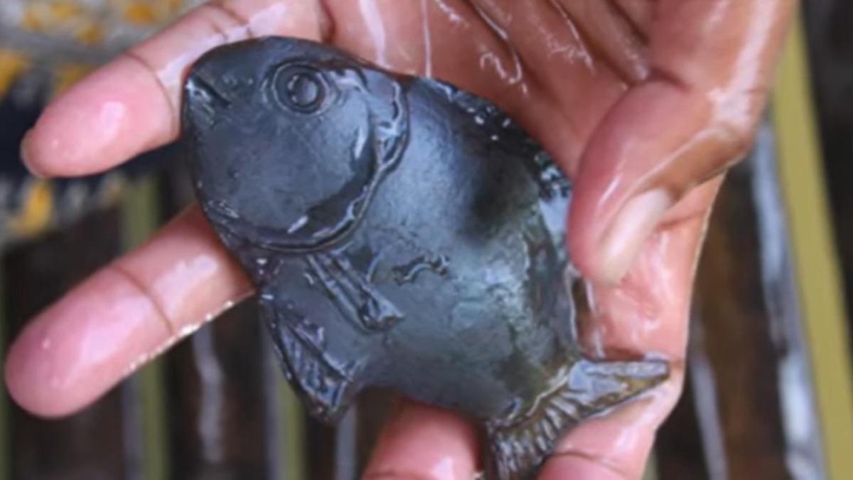 pestele-de-fier-anemie_15024700