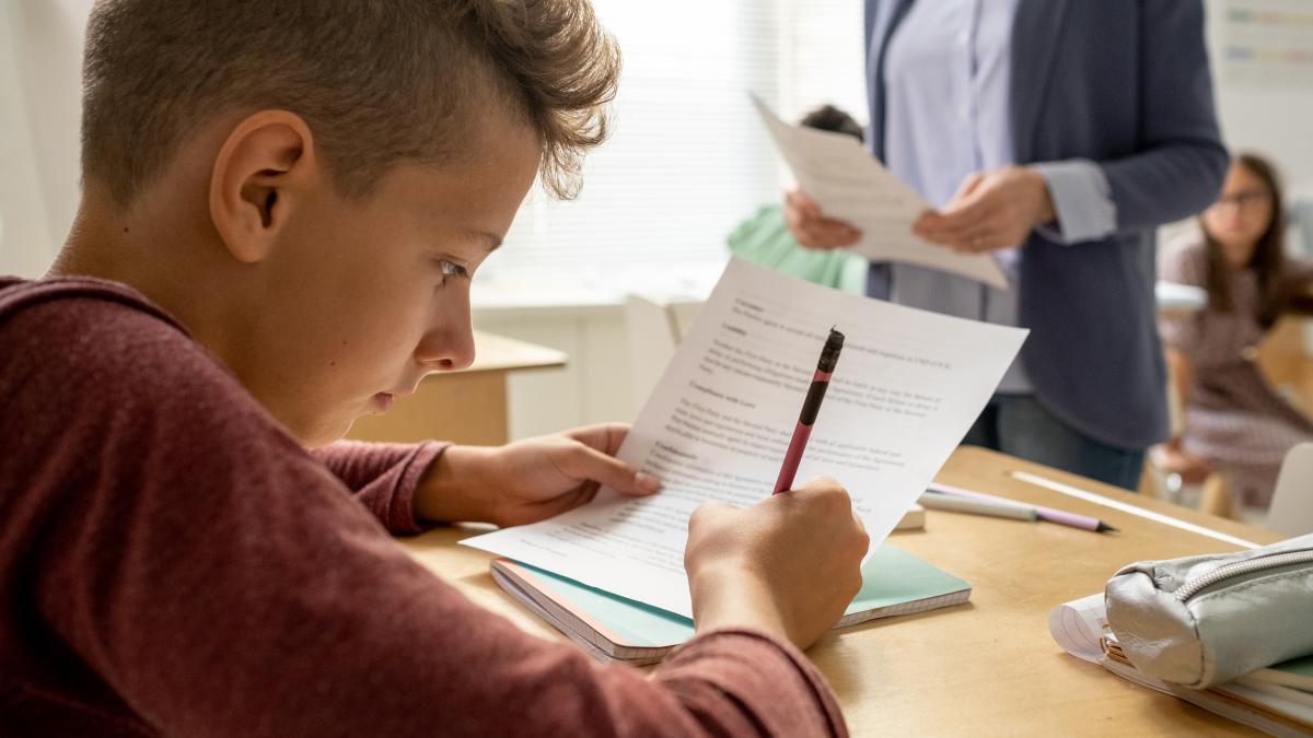 analiza-despre-dezastrul-romaniei-de-la-testele-pisa--doctor-in-stiintele-educatiei-se-memoreaza-mecanic-si-in-opt-zile-uiti-80prc---ne-furam-singuri-caciula-1_95659400