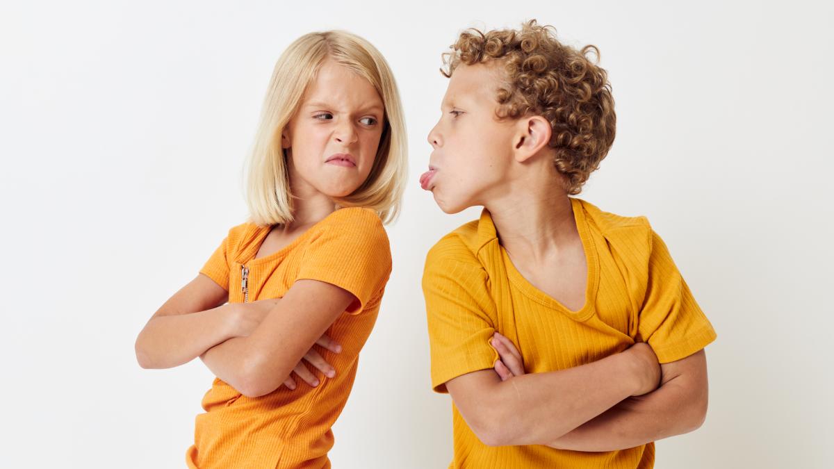 invata-i-pe-copii-sa-se-certe-bine-pentru-a-ajunge-la-intelegeri--fara-a-intra-in-conflicte-inutile--opt-sfaturi-de-la-specialisti_15661500