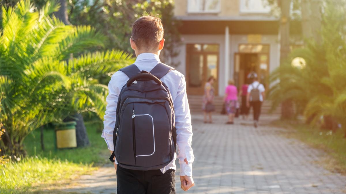 accesul-in-scoala--motiv-de-discutii-aprinse-intre-elevi--parinti-si-profesori-adica-de-ce-sa-nu-intre-tot-pe-unde-intra-copiii_55263200