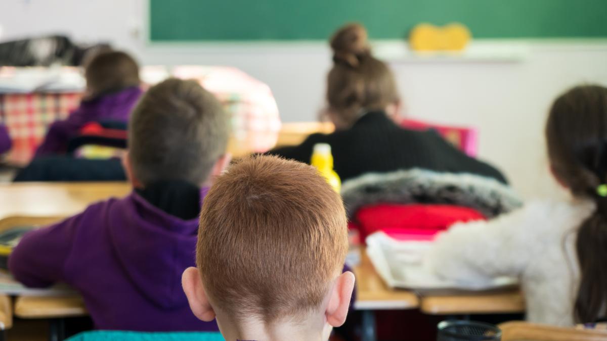 bursele-de-merit--la-ccr-avocatul-poporului-contesta-legea-care-le-permite-elevilor-cu-medii-de-1-si-2-sa-primeasca-burse-de-merit_50951500