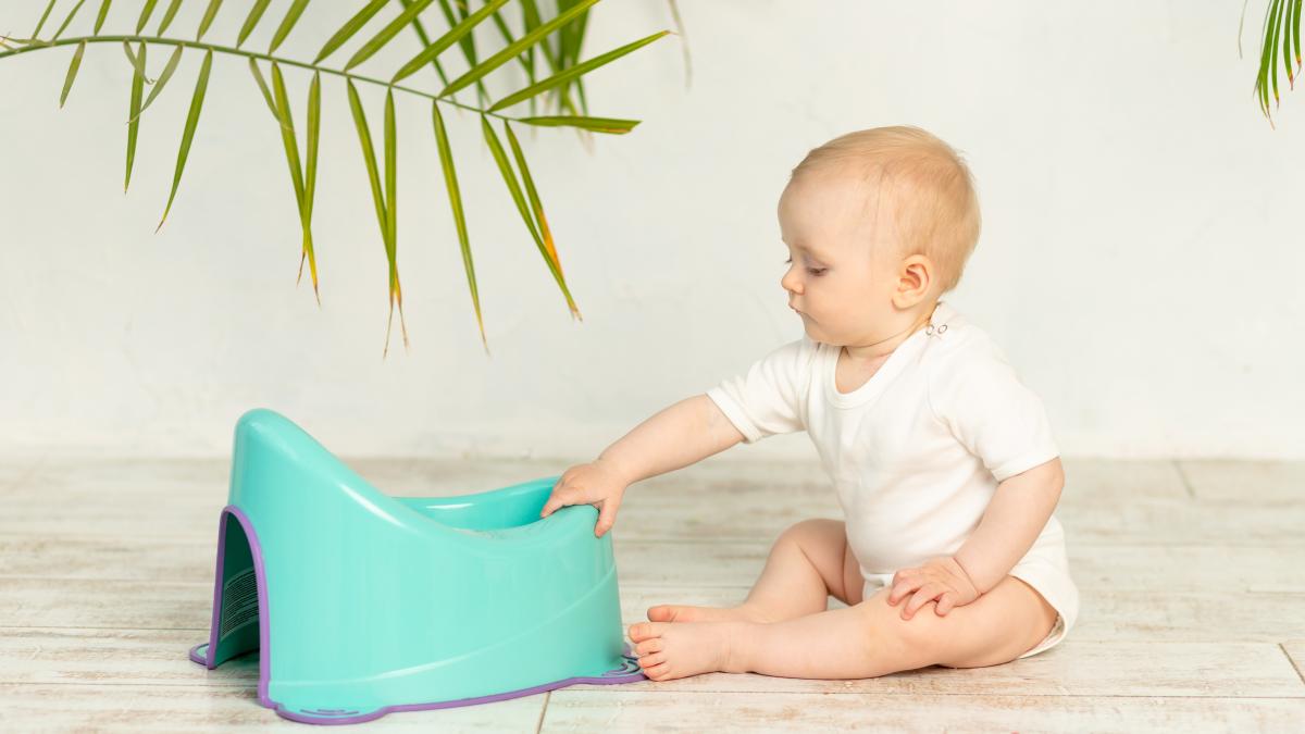 unlocking-the-secrets-the-risks-of-early-diaper-farewell-and-how-it-affects-your-childs-behavior--insights-from-potty-trainer-ruxandra-horvath_19136300