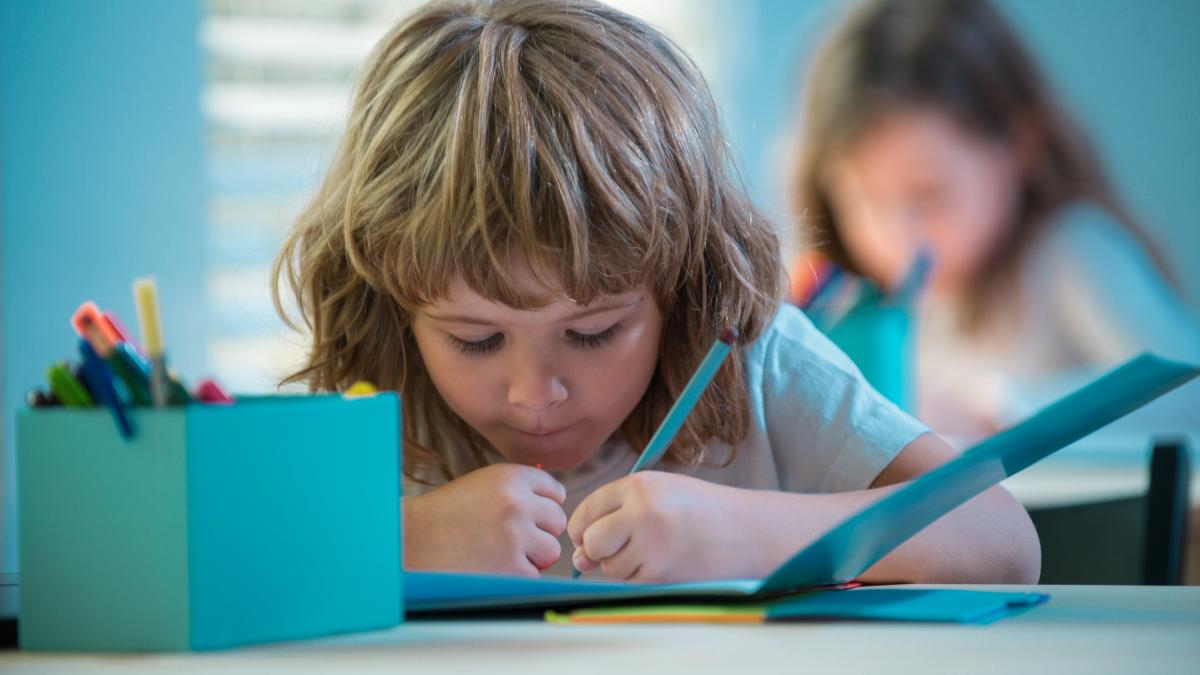 oana-moraru-scolile--oricat-de-bune--au-meteahna-inerenta-de-a-i-dresa-pe-copii-sa-scrie--sa-scrie--sa-scrie-3_89845400