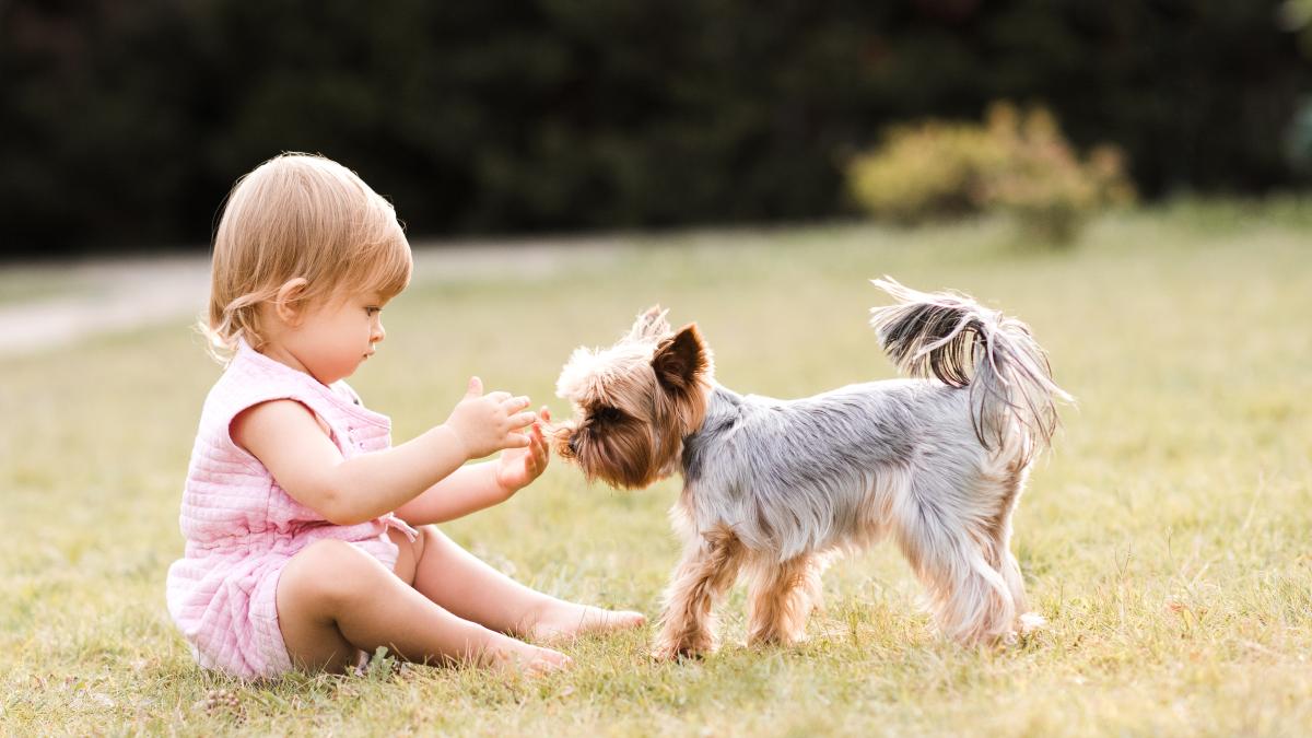 un-medic-pediatru-clarifica-care-este-cea-mai-buna-varsta-pentru-copii-pentru-a-avea-un-animal-de-companie_88128300