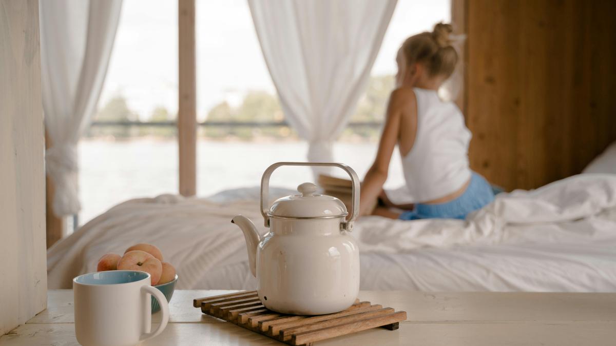 pexels-ron-lach-10608221_25506500