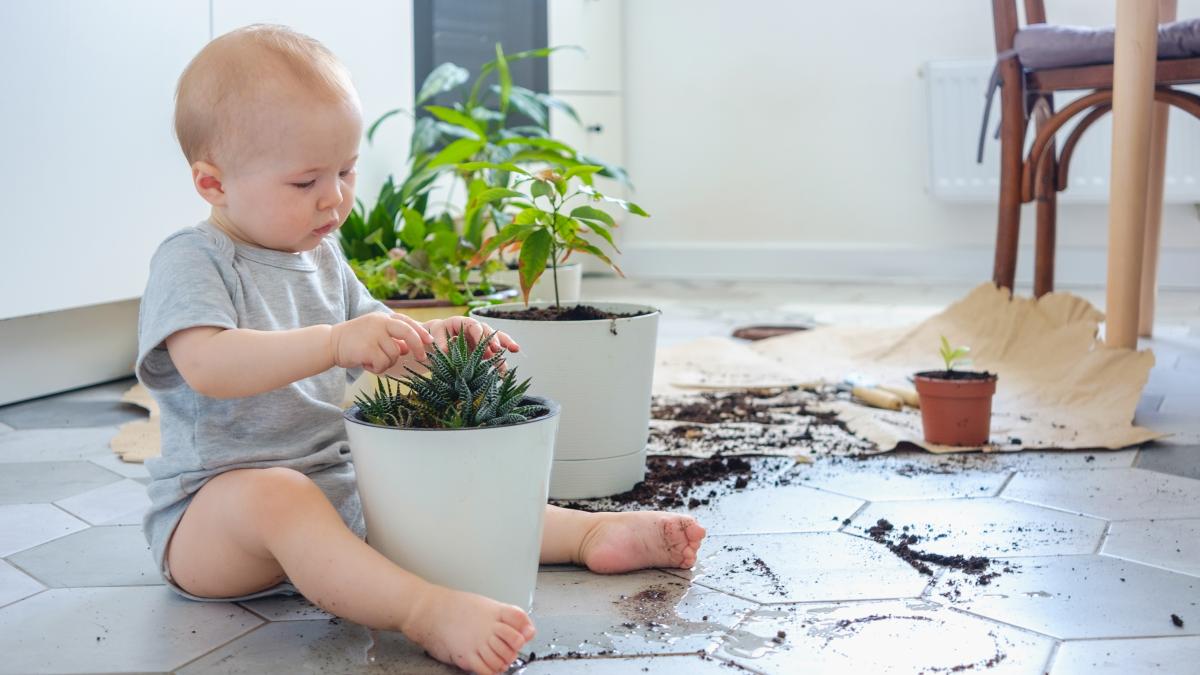 copilul-mananca-pamant--hartie--creta-sau-gheata-nu-este-o-pofta--este-pica-si-este-una-dintre-cele-mai-necunoscute-tulburari-ale-copilariei_21015800