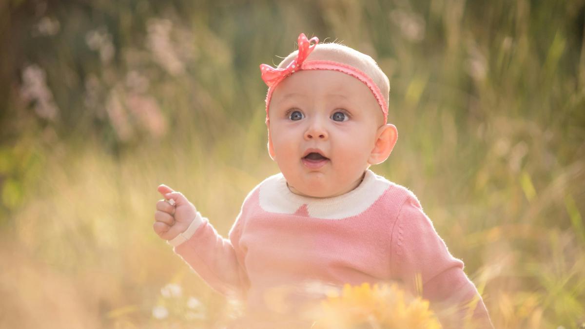 pexels-becerra-govea-photo-6219875_74020200