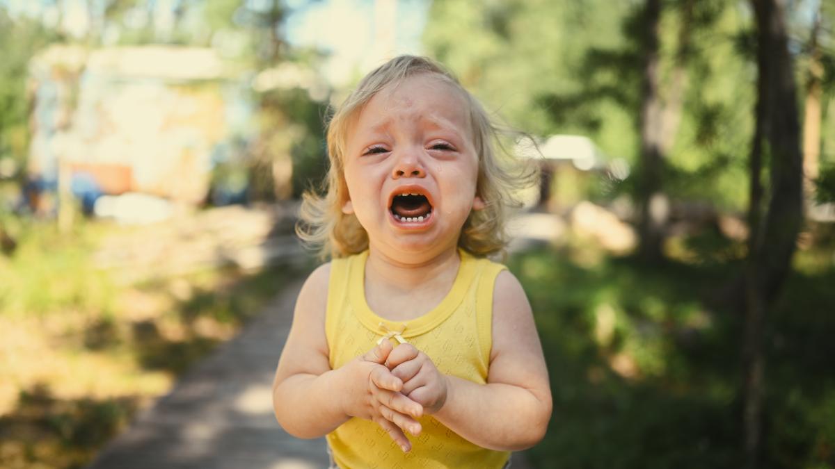 la-ce-varsta-incep-crizele-de-furie-ale-copiilor-si-cand-se-termina-un-studiu-arata-clar-perioadele_46595100