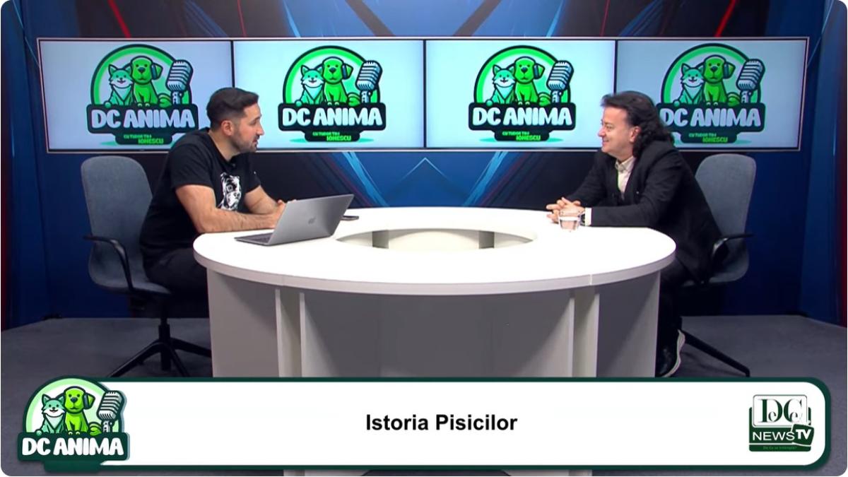 adrian-dragota--expert-in-lumea-pisicilor--dezvaluie-mituri-despre-feline--video_18354700