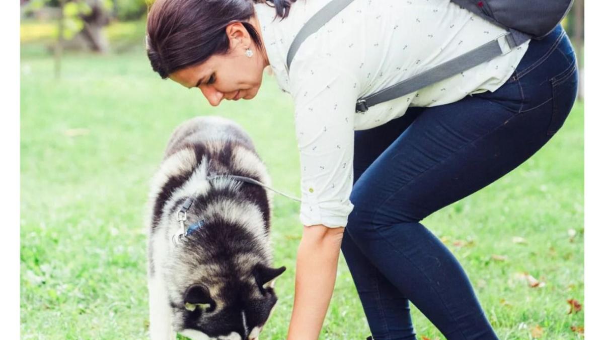 aduna-norocul-cu-mana-ta-eu-strang-dupa-cainele-meu--azi-strang-si-dupa-al-tau--o-campanie-la-baza-careia-sta-o-realitate-trista-strazile--pline-de-fecale-de-caine_19187900