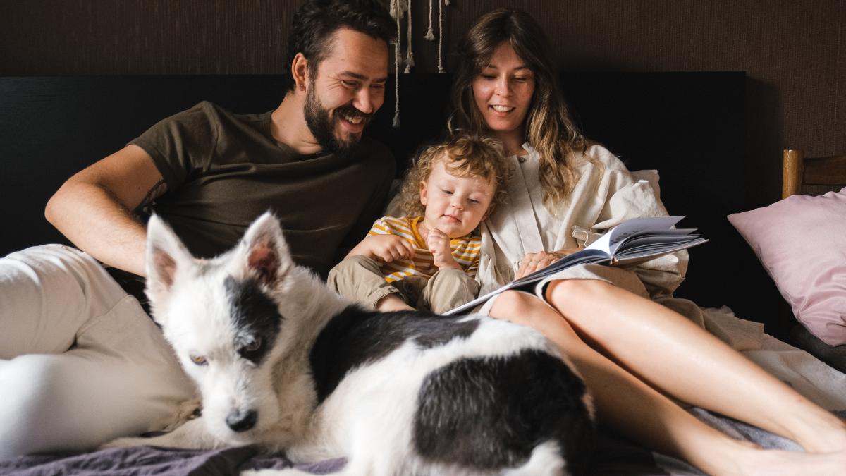 pexels-anna-shvets-4586629_37512100