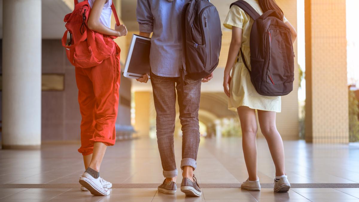 testarea-antidrog-in-scoli-ar-putea-fi-introdusa-imediat--ministrul-educatiei-si-ministrul-sanatatii--precizari-importante_10720800