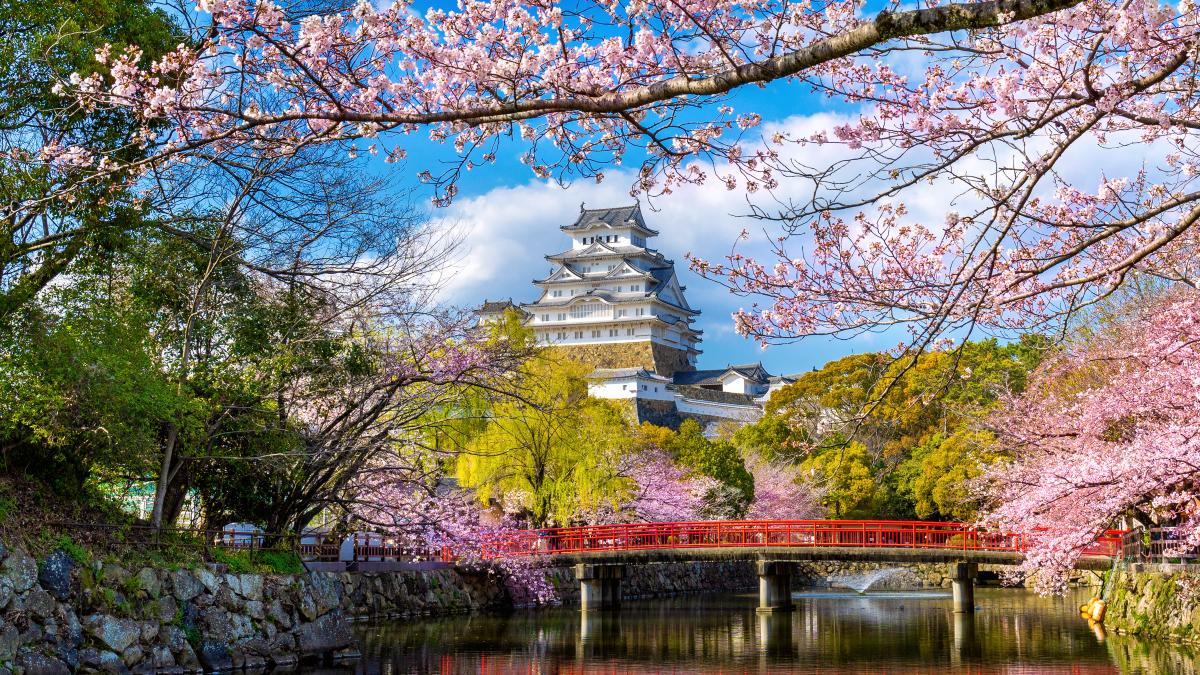 un-oras-japonez-va-bloca-o-priveliste-spre-muntele-fuji-pentru-a-evita-supraturismul_65518000