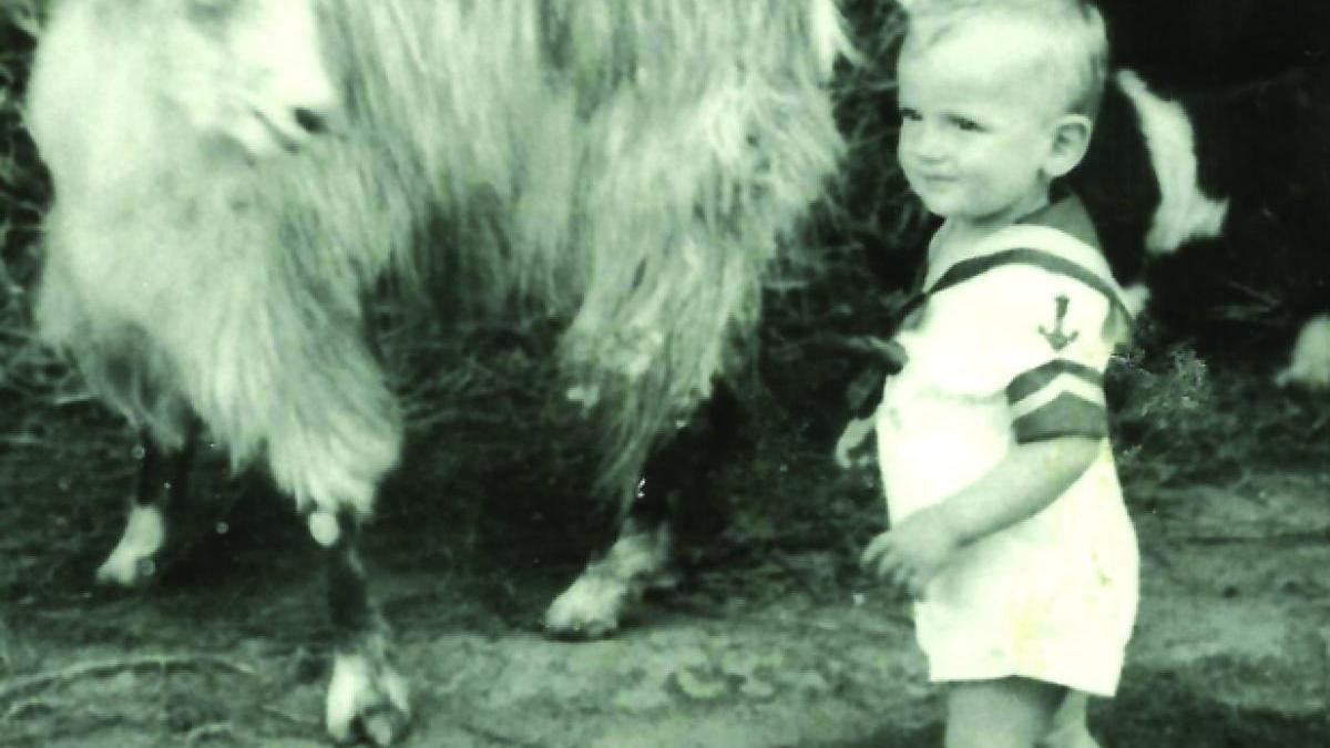 florin-piersic-copilarie_59774100