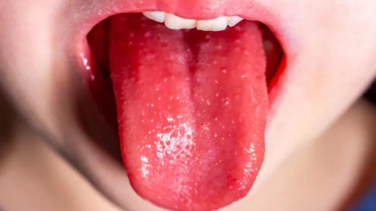 limba-de-cpsuni_88468000