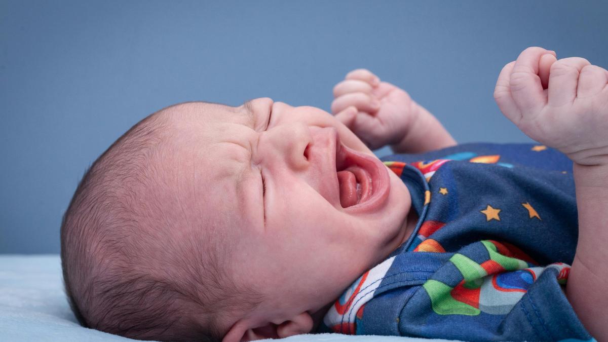 pexels-leonardo-luz-338722550-15128069_73551600