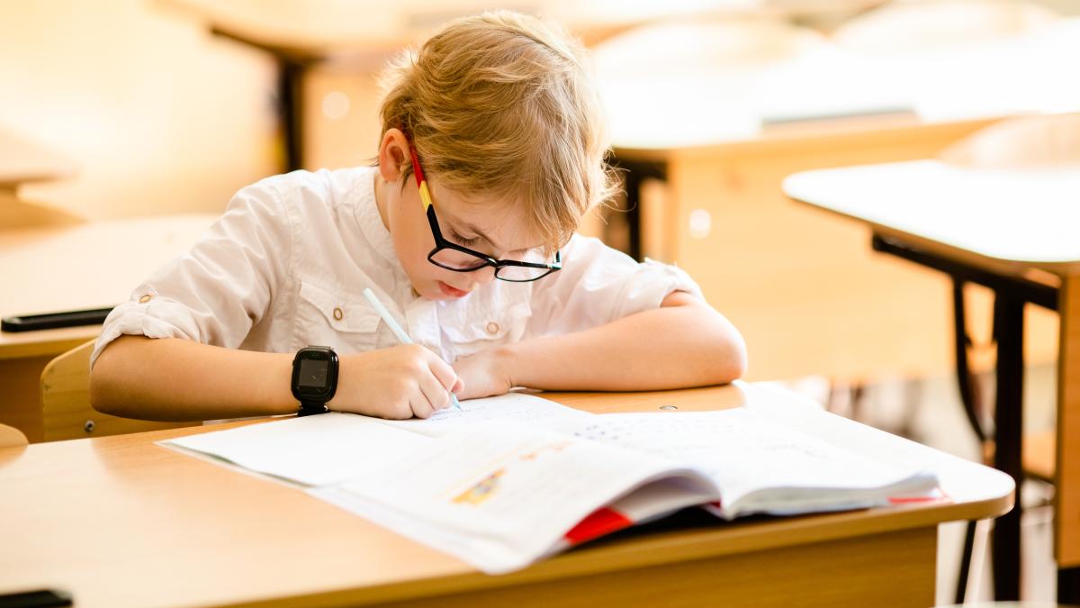 evaluare-nationala-2024--peste-500-000-de-elevi-romani-din-clasa-a-ii-a--a-iv-a-si-a-vi-a-incep-probele--de-luni_53470500