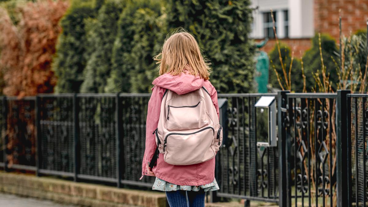 tara-din-europa-in-care-copiii-trebuie-sa-poata-merge-singuri-la-scoala-de-la-7-ani--daca-nu-pot--iau-un-taxi-gratuit-e2809emicutii-si-educatia-lor-sunt-pe-primul-loce2809d--video_98291400