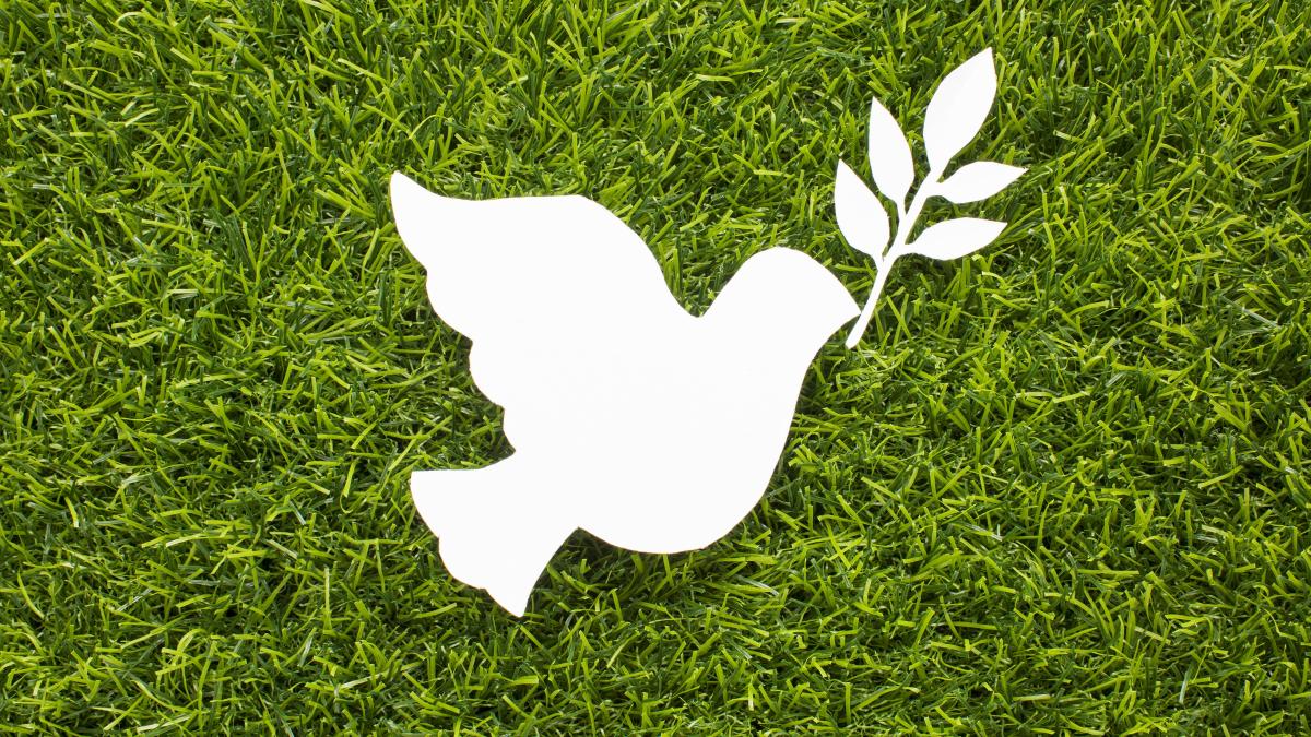 16-mai---ziua-internationala-pentru-convietuirea-pasnica_07733400