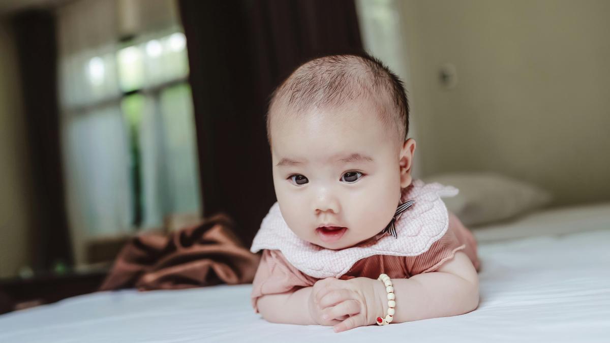 pexels-sunvani-hoang-59600621-7973670_41728200