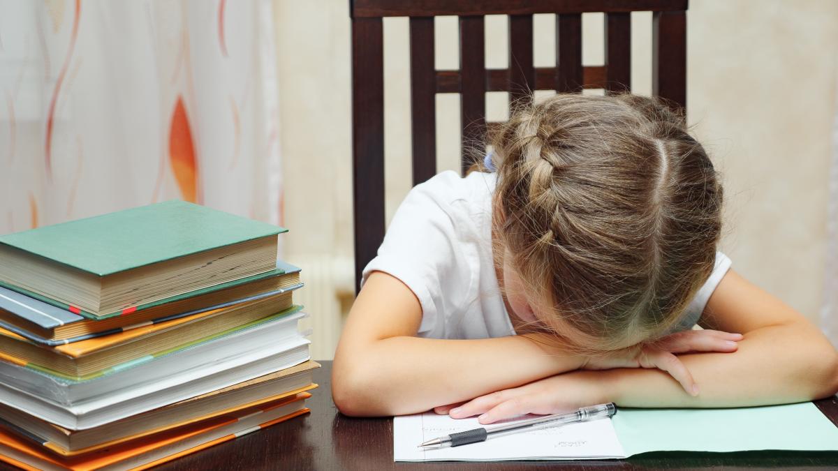 copilul-nu-intelege-la-clasa-si-am-bagat-meditatii--claudia-chiru-e2809eatunci-cand-un-elev-pleaca-de-la-scoala-si-nu-stie--inseamna-ca-profesorul-nu-si-face-treaba-avem-o-problema_93480900