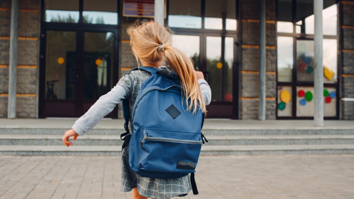 mii-de-elevi-nu-au-primit-tichete-educationale-pentru-rechizite--scoala-se-termina-vineri_32984300