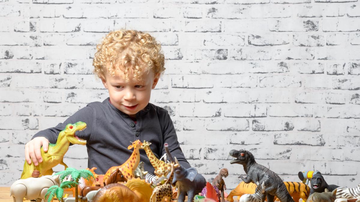 matusa--acuzata-ca-i-a-spalat-creierul-nepotului-ei-din-cauza-unui-cadou-mi-a-spus-ca-dinozaurii-nu-exista-si-nu-au-existat-niciodata_23990700