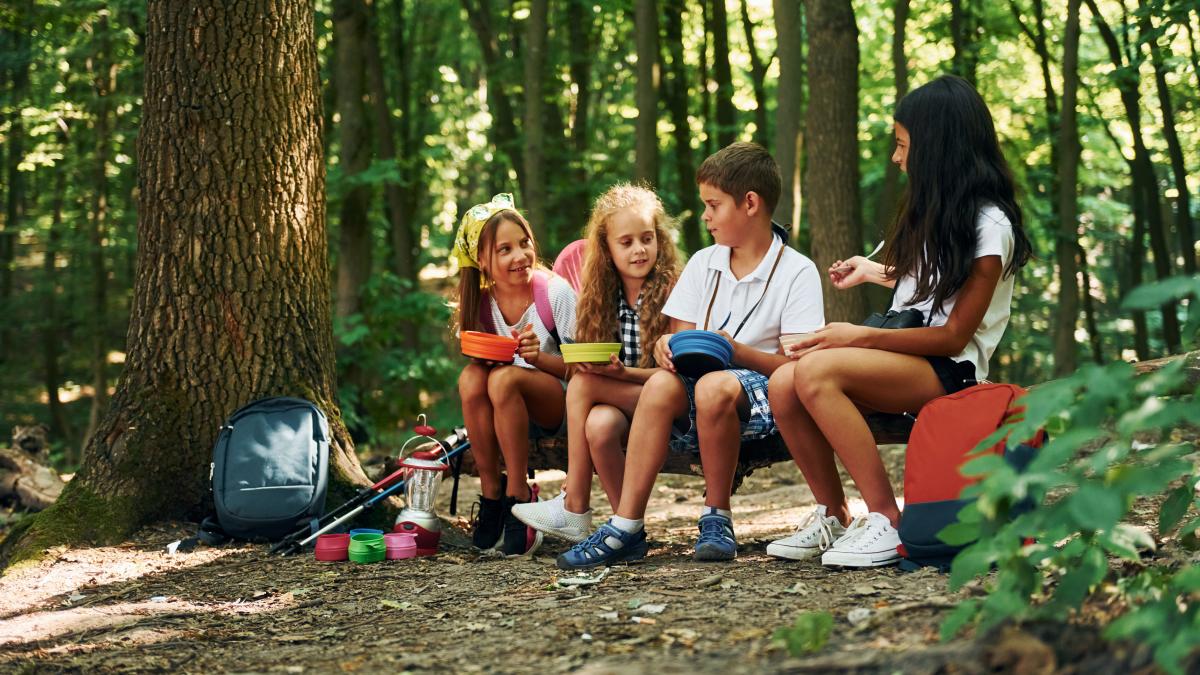 de-ce-sa-l-trimiti-pe-cel-mic-intr-o-tabara-de-vara-pentru-copii_15910300