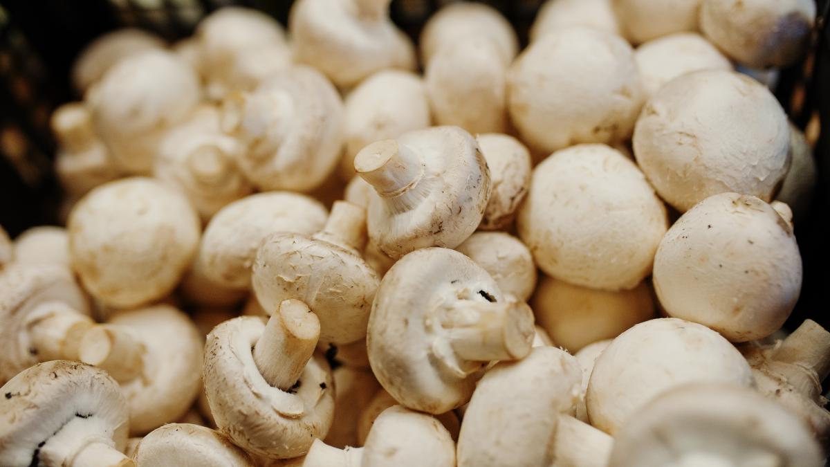 copii-intoxicati-dupa-ce-au-mancat-ciuperci--cum-ne-ferim-de-pericolul-din-padure_09673300