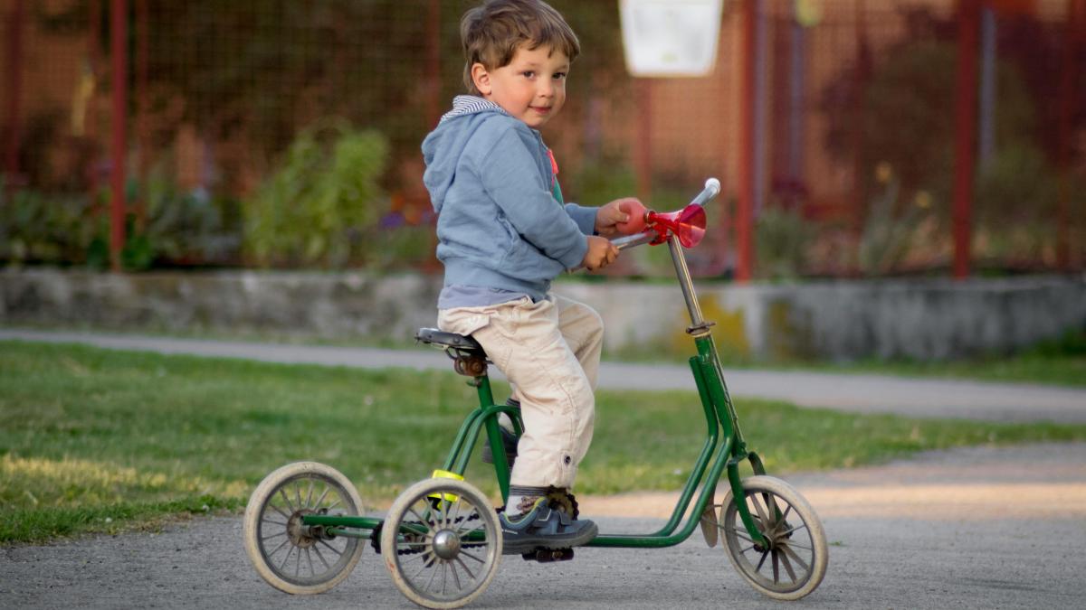 pexels-hotaru-1058501_53882700